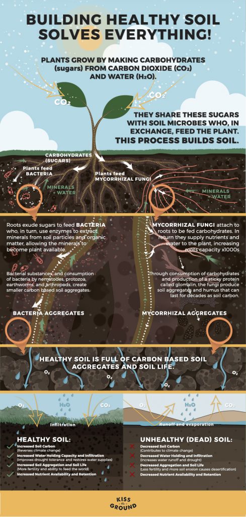 soil infographic