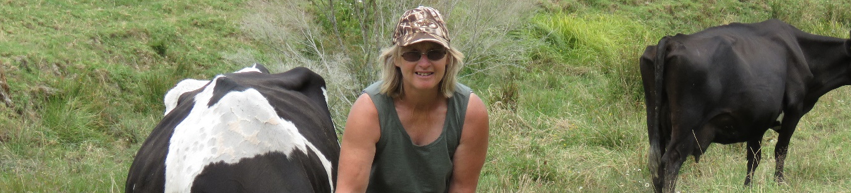 screen shot 2019-01-28 at 12.39.52 pm