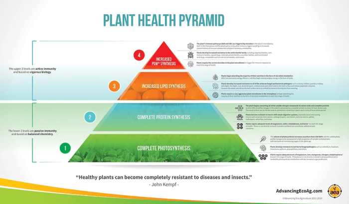 Plant health pyramid infographic John Kempf.PNG