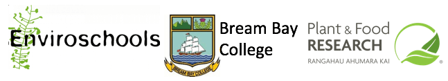 Logo Enviroschools Bream Bay Plant & Food